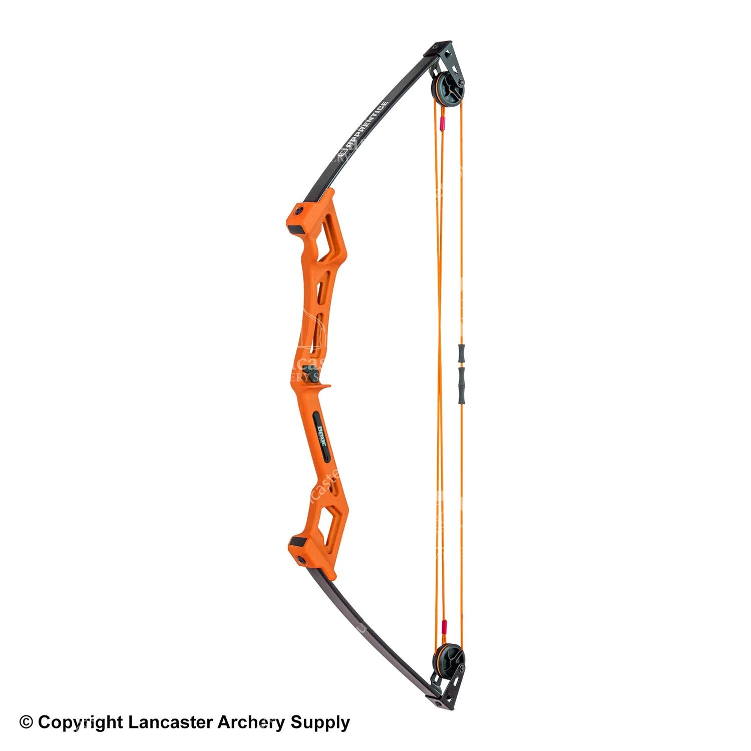 Bear Apprentice Compound Bow - Image 2