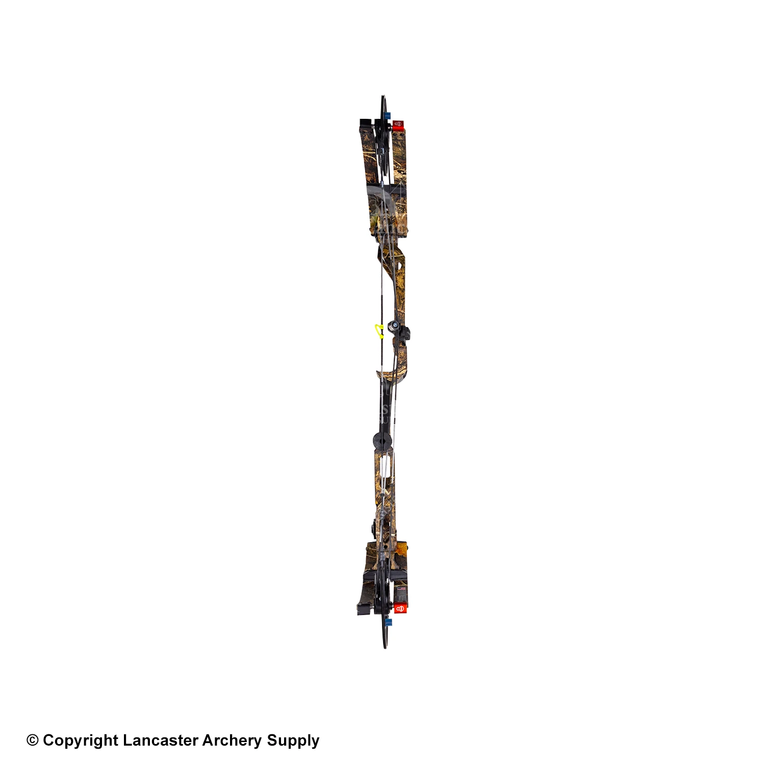 Bowtech CP30 Compound Hunting Bow - Image 4